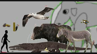 Animals size comparison part 2 Compareafrican Animal Size Comparison Ii