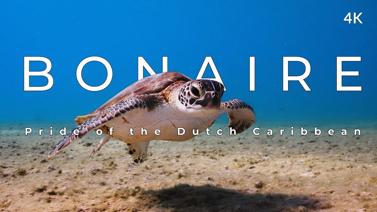 This is Bonaire (4k) - Pride of the Dutch Caribbean