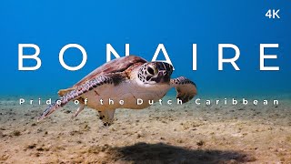 This is Bonaire (4k)  Pride of the Dutch Caribbean