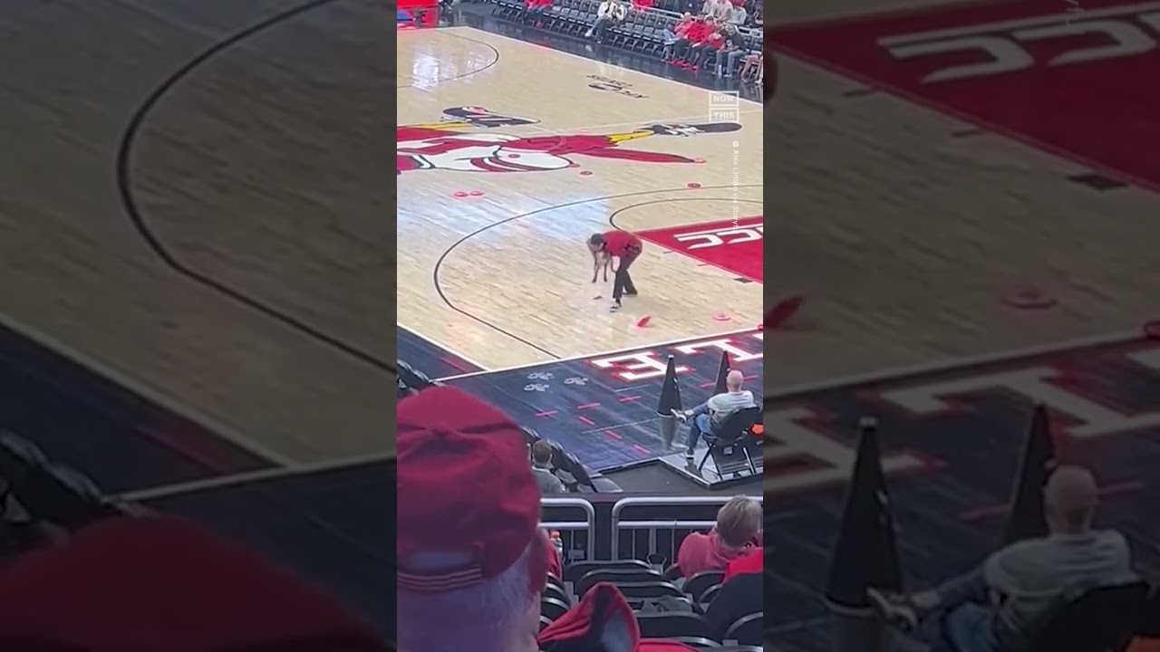Dog poops on basketball court in major 'foul' (Video)