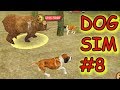 DogSim #8. Босс Медведь и Злая Корова. Играю онлайн с подписчицей. Прохождение Дог Сим