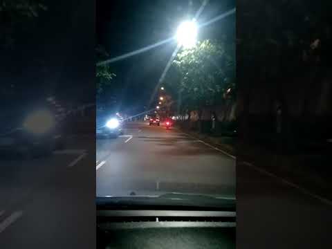 忘憂草
