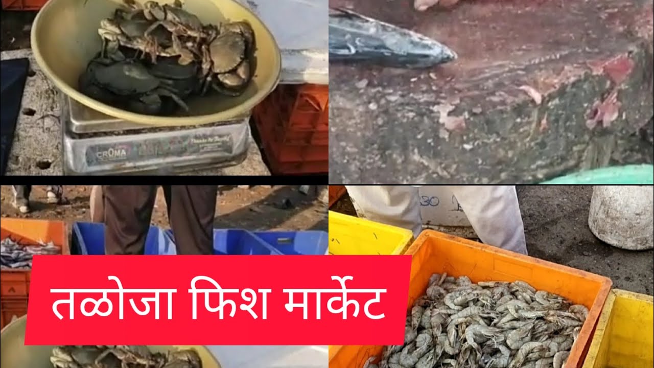तळोजा फिश मार्केट/Taloja fish MarketTalojanavimumbai YouTube