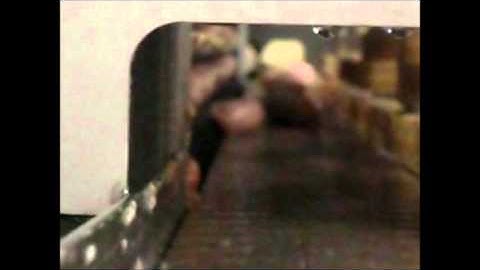 Sausage Tray Loader Conveyor