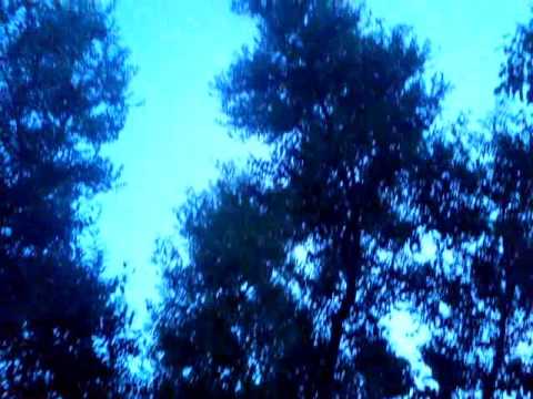 رجاص ميلة قسنطينة بزوغ خيوط الفجر هكذا يستفيق الفجر برجاص  