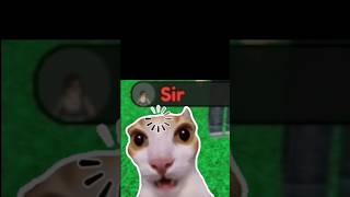 Funny Roblox Spelling Race Core