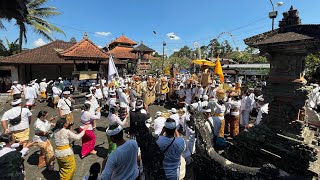 DAY 28 Mejaba Kuta Departing from Pura Dalem Sari Kuwum heading to Pura Dalem Paruman Sembung