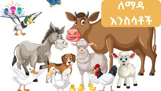 Domestic Animals 2024 | ለማዳ እንስሳቶች