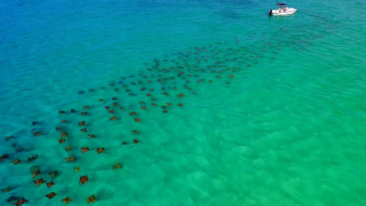 Rays of Anna Maria YouTube