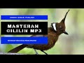 Masteran Burung Cililin Jernih Durasi Panjang Pancingan Cililin Agar Cepat Bunyi Full isian(.mp3 .mp4) Mp3 - Mp4 Download