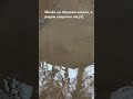 Пробный шортс с водоёма)