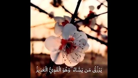 القران الكريم ارح نفسك حالات واتس اب ايات قصيره🎧استوري انستا تلاوه هادئه اسلام صبحي#بدون_حقوق🌹🌼