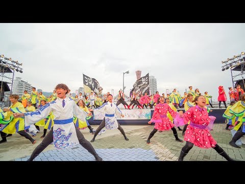 [4K] 近畿大学 洗心　神戸よさこいまつり 2019 本祭1日目