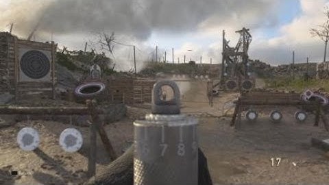 COD WW2: Stripe Happy II FG42 Showcase