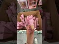 girlies you gotta run!!🤭🌷✨💖🌸🎀 #dollartree #dollartreefinds #comeshoppingwithme #forthegirls #afforda