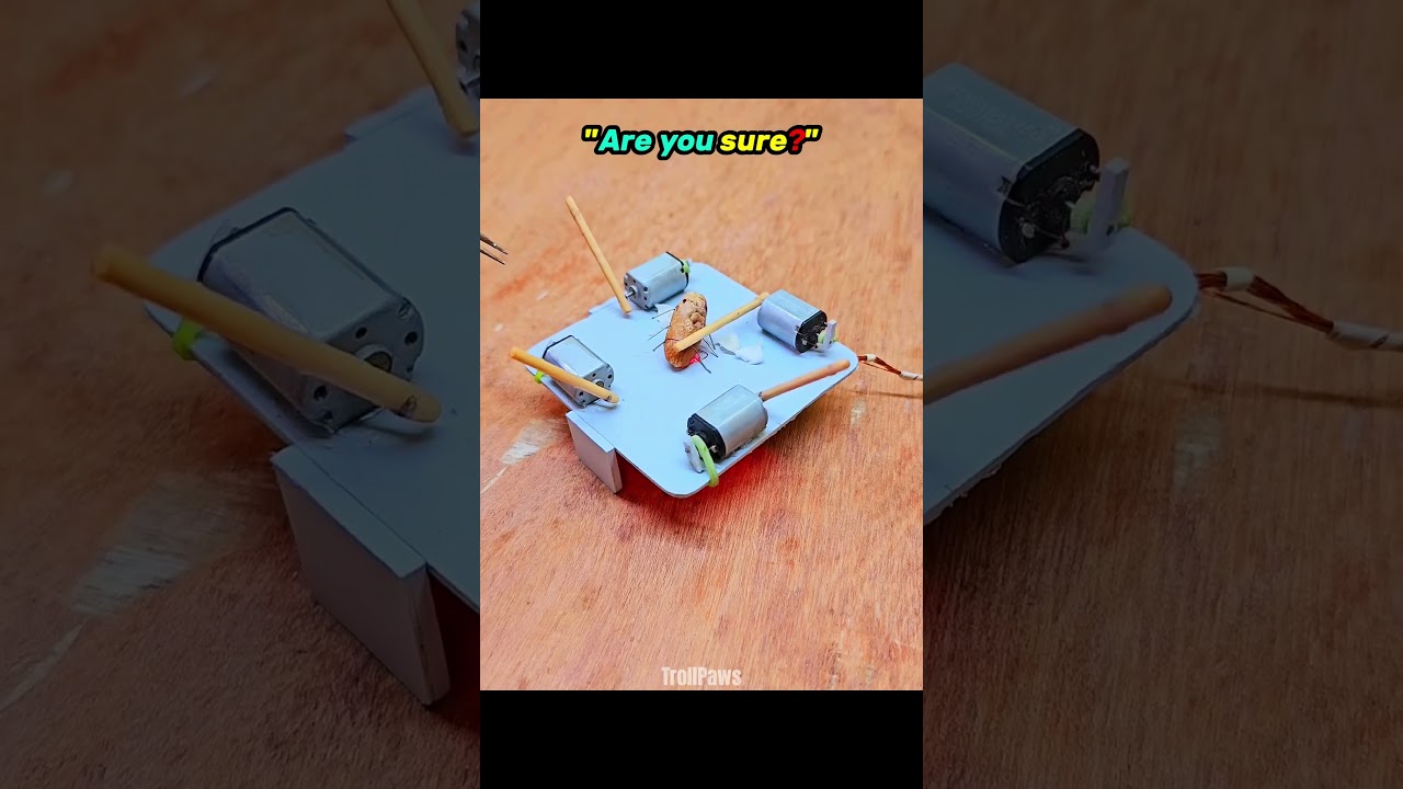 Best Animal Traps💀