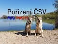 Pořízení Československého vlčáka - PRO a PROTI