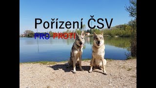 Pořízení Československého vlčáka - PRO a PROTI