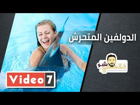 فيديو: حيث يعيش الدلفين الوردي