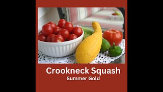 How to Grow, Harvest, and Fry Crookneck Squash - A Crop of Summer Gold