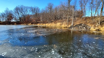 Trapping a MASSIVE Bank Lodge (Numerous Catches)