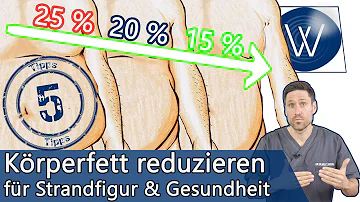 In welcher Reihenfolge baut der Körperfett ab?