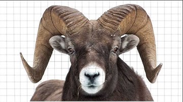 Choosing the Right RAM/Memory - Part 1: Capacity