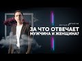 За что отвечает мужчина и женщина? Отношения мужчины и женщины в бизнесе. Петр Осипов Метаморфозы БМ