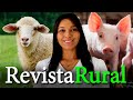 Programa revista rural  19052024