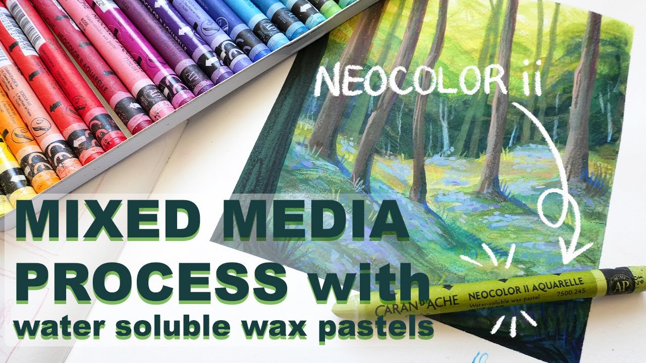 The Caran d'Ache Neocolor II Artists' Water Soluble Crayon Set with Artist  Karlyn Holman 