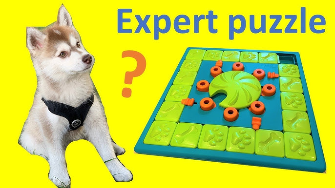 KADTC Dog Puzzle Toy For Small/Medium/Large Dogs Slow Feeder Puzzles Food  Treat Feeding Dispenser Puppy Brain Stimulation Toys Beginner Puppy Boredom