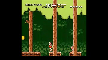 Super Mario World - SMB3 Style Hack - Koopa Drag Glitch In Forest Of Illusion 1