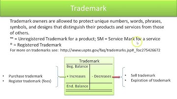 Define Standard Asset Accounts - Trademark - Video Slide 16
