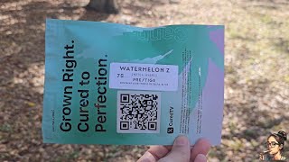 Watermelon Z | Canna Cured 
