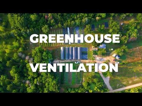 Video: Siltumnīcu ventilācijas informācija - siltumnīcas temperatūras kontrole