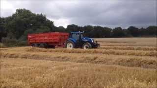 Moisson de blé 2015/Big harvest 2015