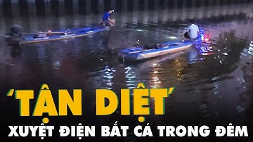Xuyệt điện ‘tận diệt’ cá trong đêm trên kênh Nhiêu Lộc - Thị Nghè