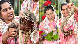 Suhana Nammal Vicharichapole Alla Sir 😱 | PQ EXOTIC BIRDS PARK, COCHIN | Mashura | Basheer Bashi