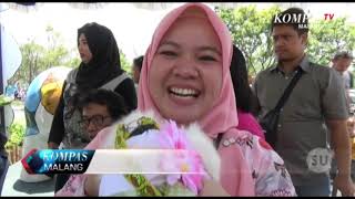 Download Lagu Lucu dan Menggemaskan!!! Saat Kucing Hingga Anjing Berdandan MP3