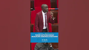 WAZIRI HATUTAELEWANA AU HUTAKI NIENDELEE KUWEPO MUSUKUMA AMKOMALIA MAVUNDE 