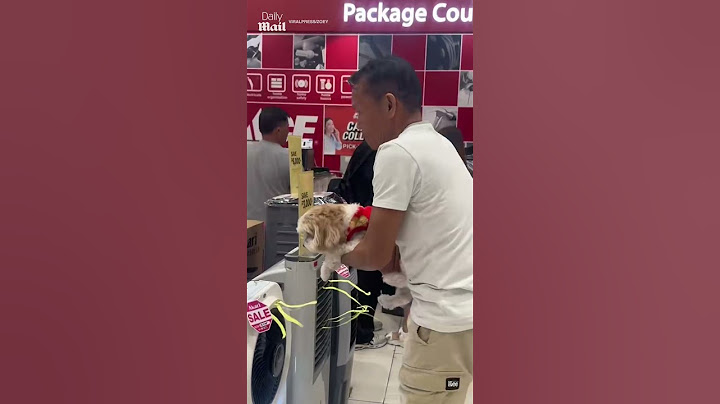 Owner holds pup in front of air conditioner to cool off