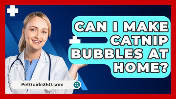 Can I Make Catnip Bubbles At Home? - PetGuide360.com