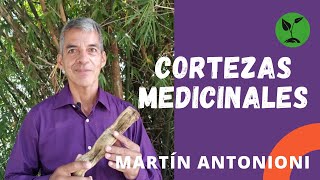 Cortezas Medicinales - Martín Antonioni