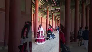 Gyeongbokgung Palace in Seoul, Korea 🇰🇷 #shorts #seoul #koreavlog