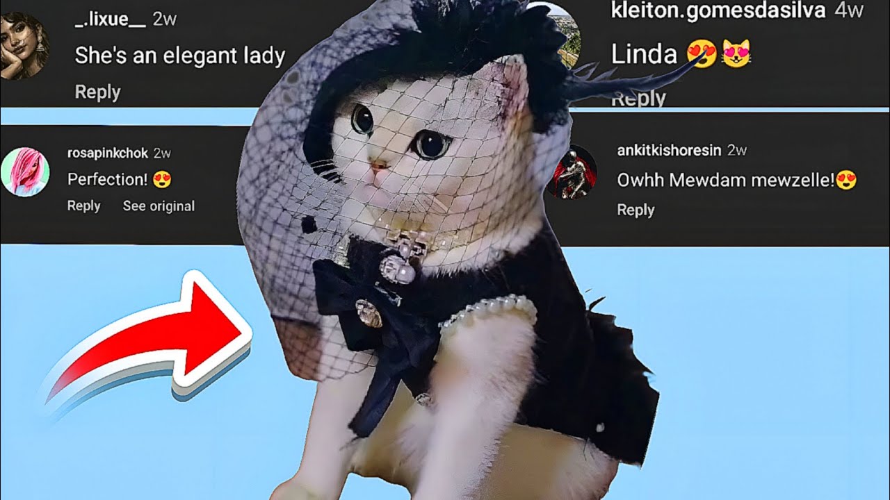 Elegant Lady | Chat Music