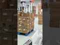 Maximize Palletizing Speed  Clamping EOAT#palletizing #robotics #factory