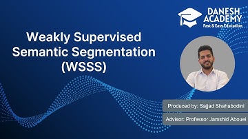 Weakly Supervised Semantic Segmentation