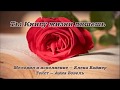 Ты Книгу жизни пишешь.  Елена Ваймер