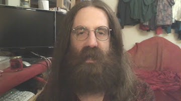 Tim Tyler: On embodiment