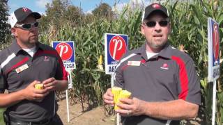 Corn School 1-2: Will My Corn Finish? Pride Seeds Panel